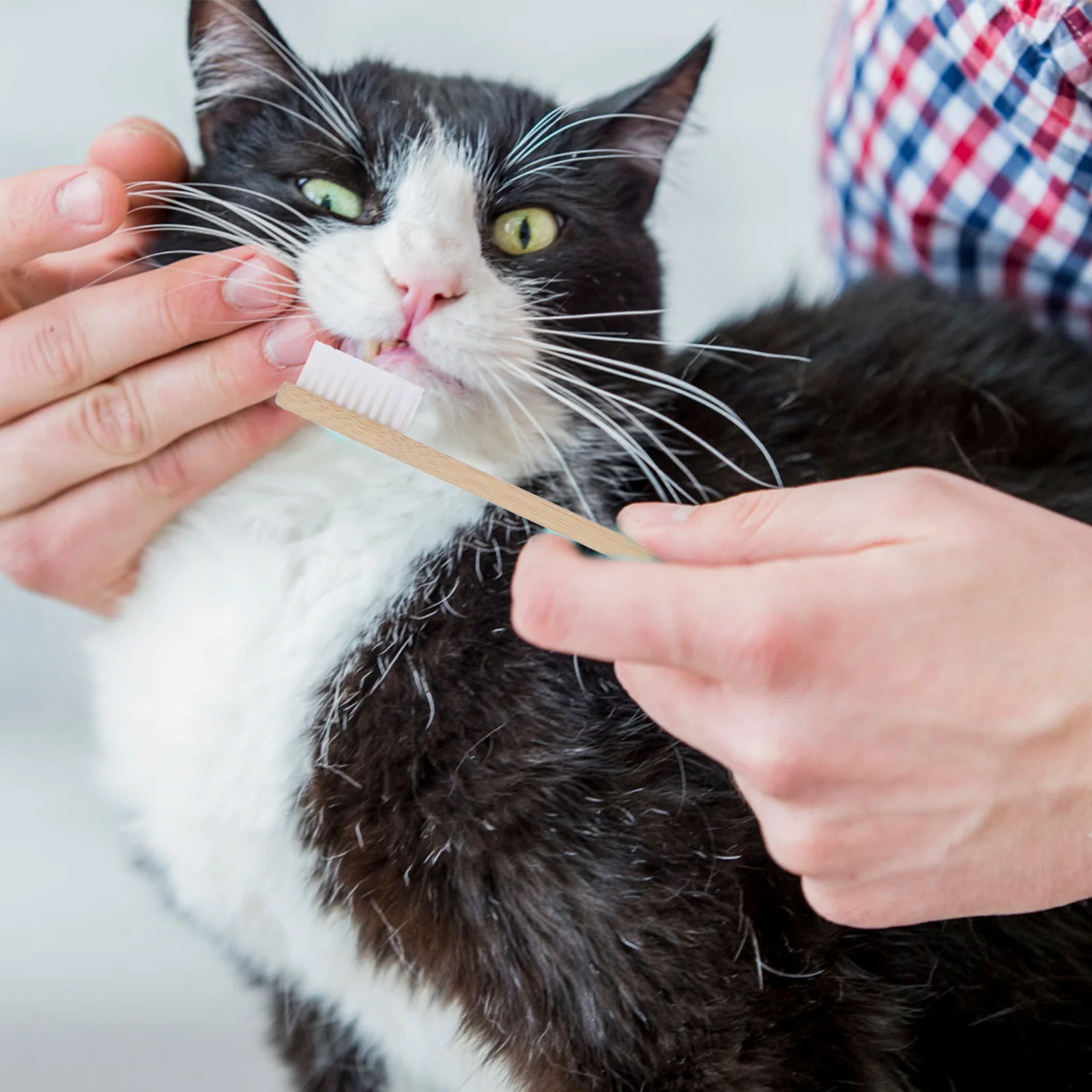 

2pcs Pet Toothbrush Double-end Bamboo Nylon Dental Cleaning Tools for Dog Cat Oral Hygiene Prevent Plaque Tartar Gingivitis