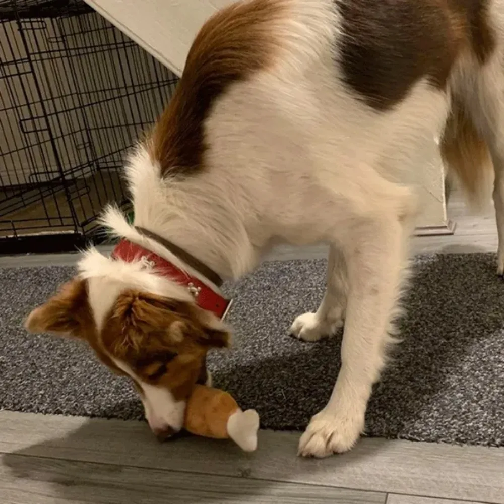 Pluche klinkende dubbele bot huisdier drumstok hondenspeelgoed piepend kauwspeelgoed voor kleine, middelgrote en grote honden