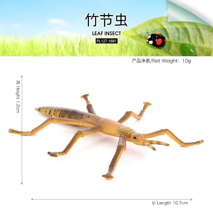 Simulated wild insect animal model Stick insect Slub whip insect children's early education cognitive ornament toy figure