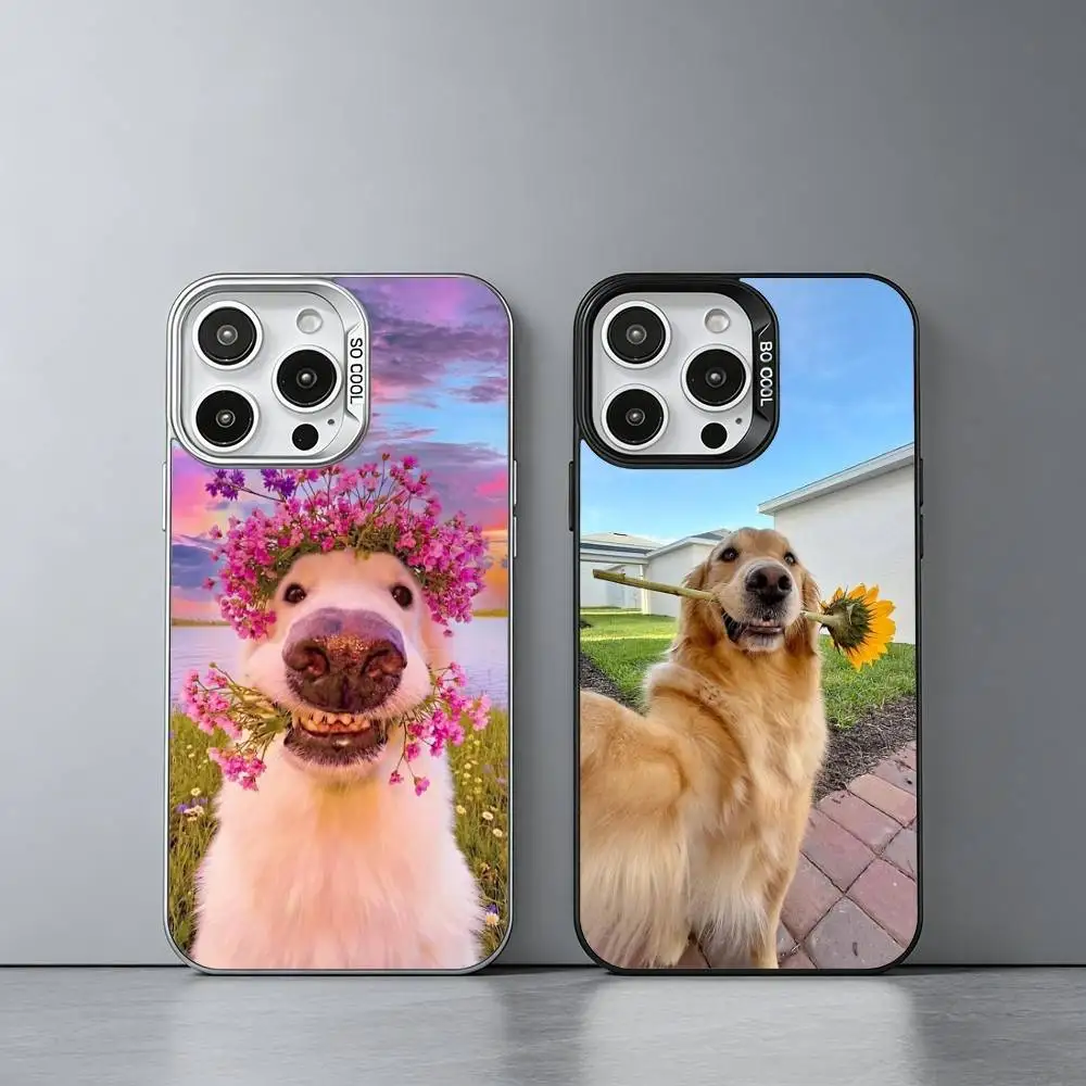 

C-Cute G-Golden R-Retriever Phone Case For iPhone 17,16,15,14,13,12,11 Plus,Pro Max,XS,Colored silver phone case