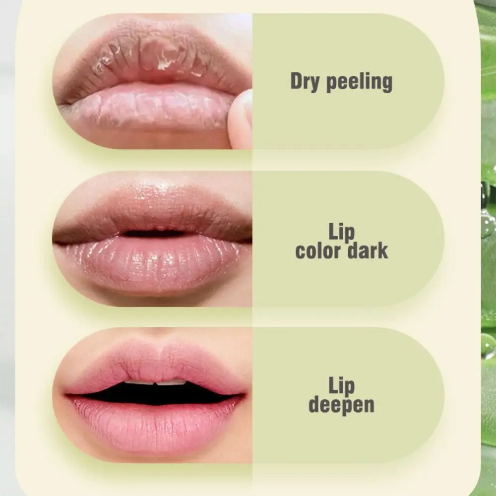 6 個ポータブル保湿アロエエッセンス口紅ナチュラル長期的なリップグロス栄養価の高いリップクリームメイクアップ化粧品