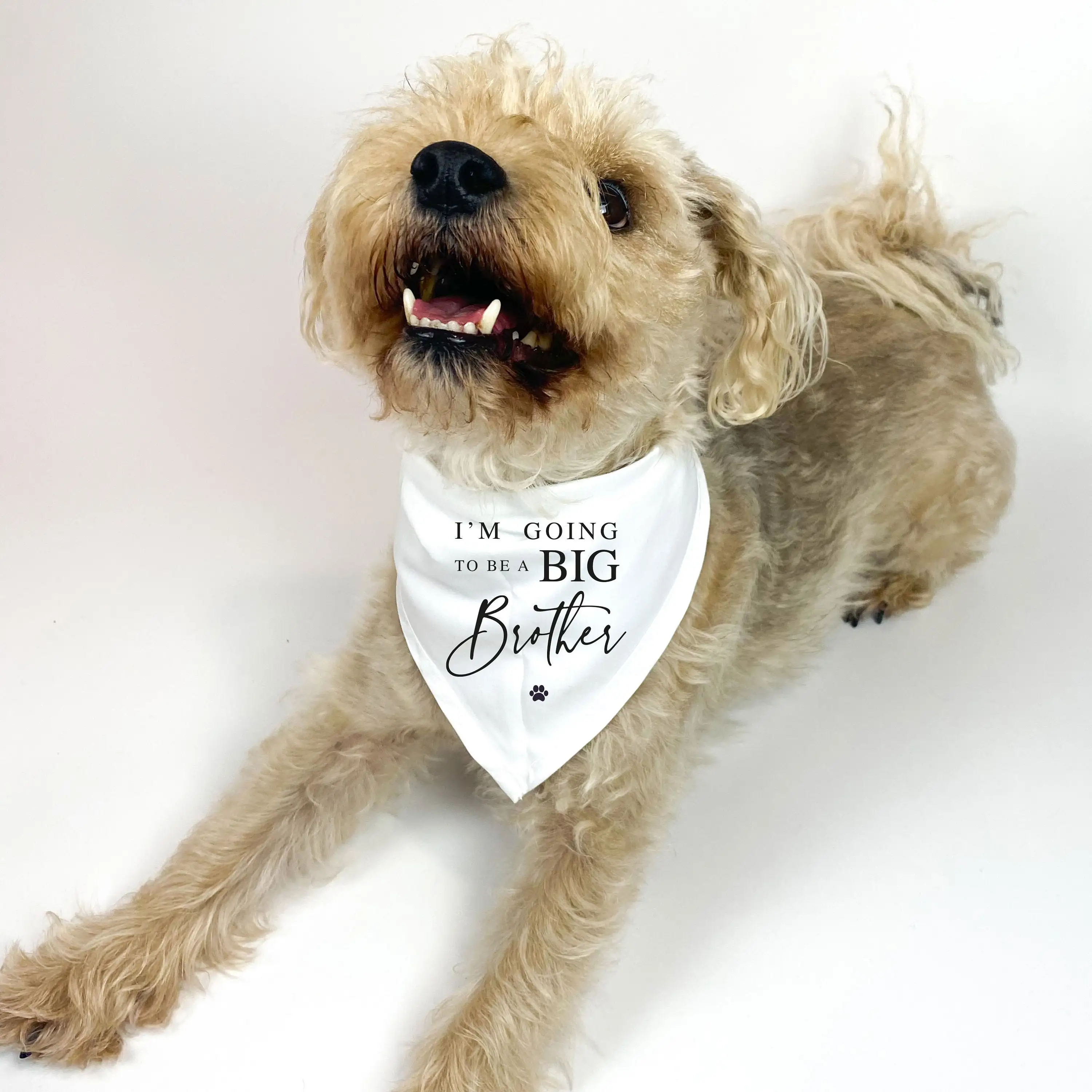 I\'m going to be a Big BROTHER printed Dog Neckerchief Pregnancy Announcement Pet bandada Big Brother Dog to be Baby Idea Gift