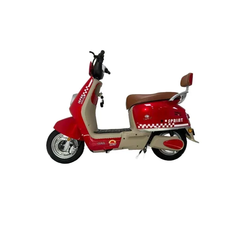 

Electric City Bicycle 48V Electric Scooter Two wheeled Electric Motorcycle