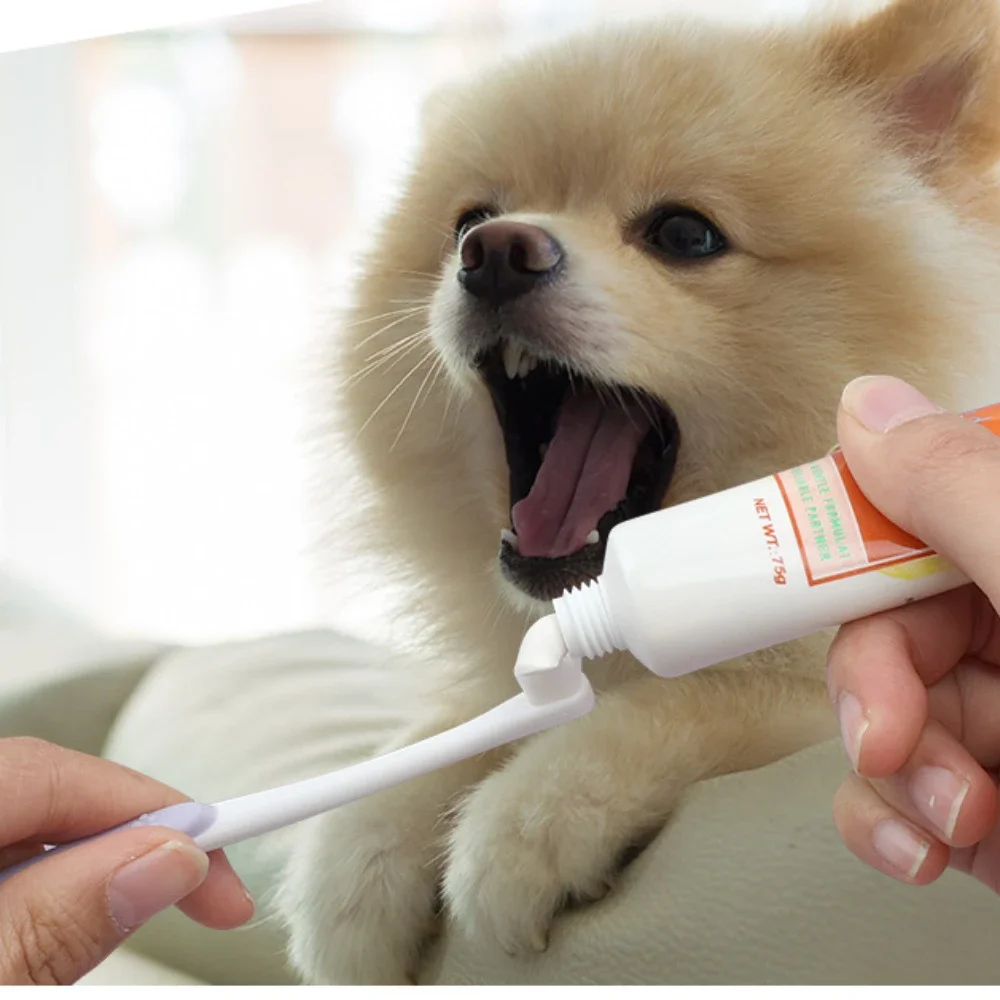 

Pet Toothbrush for Cats Dogs Bad Breath Tartar Teeth Care Soft Hair Brush Puppy Kitten Tooth Cleaning Tool Pet Supplies