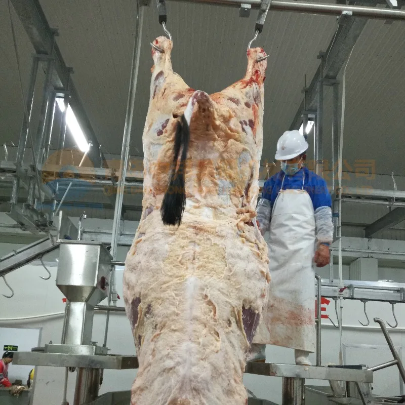 خط ذبح الماشية مطابقة إجراءات ذبح الماشية