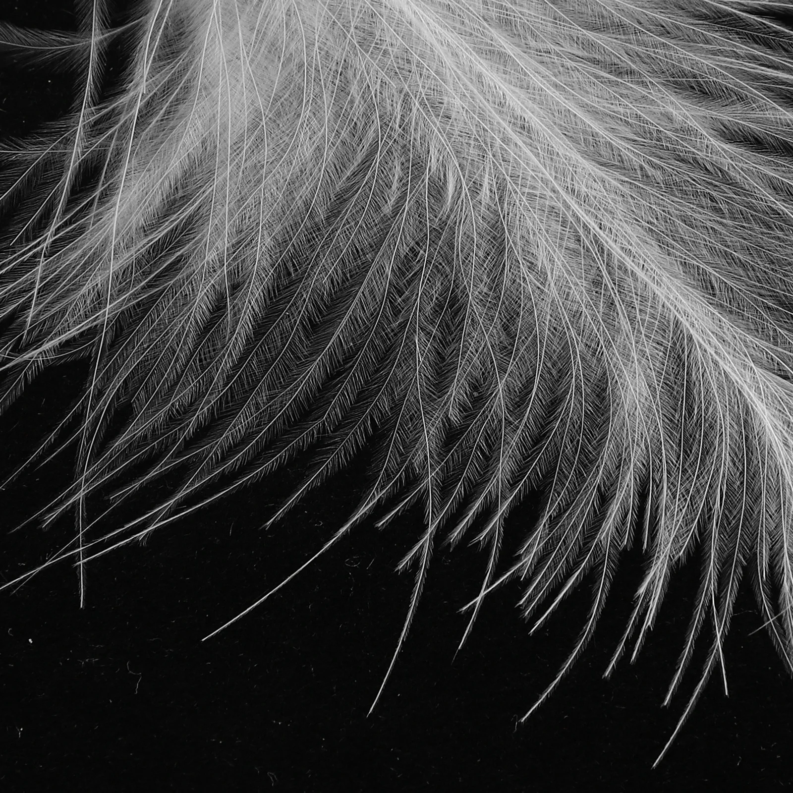 

20 шт., шлейф для маркировки пчел, яркий цвет, долговечное использование, подходит для осы и головы тигра, инструменты для пчеловодства, удобные