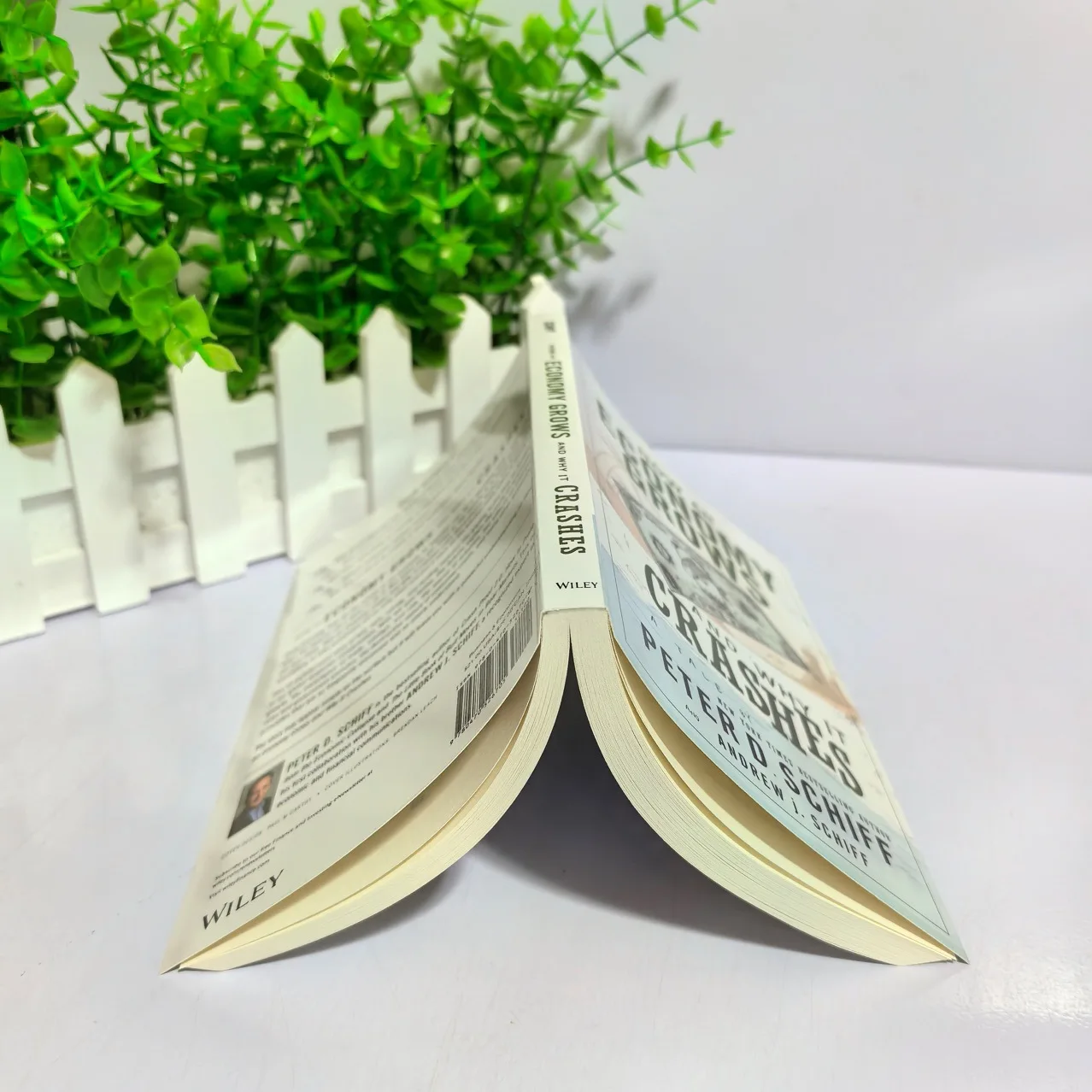 経済はどのように成長し、なぜ崩壊するのか 英語のペーパーバック本