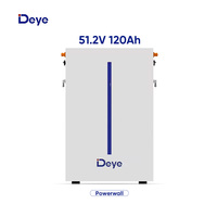 DEYE Lithium Battery LiFePO4 Battery 48v 51.2v 120ah 6kwh Powerwall for Solar Storage System
