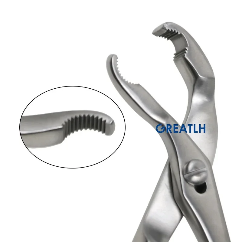 GREATLH Orthopedics Instruments Teeth in The Head Fora More Secure Grip Centering Bone Holding Forceps  Surgical Instrument pet