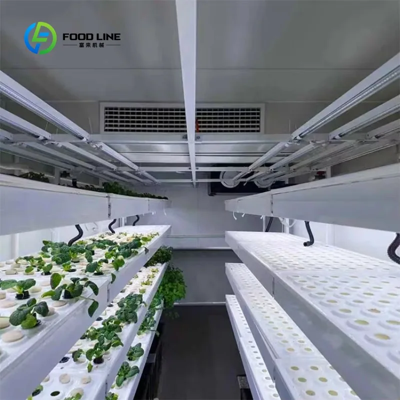 Customized 40HQ Farm Hydroponic Efficient Growth Plant Container Factory with Automated Control System