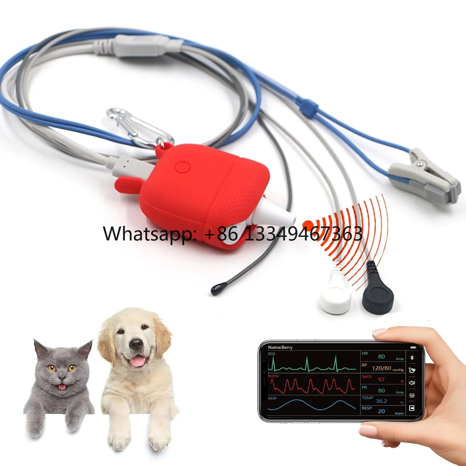 Professional Pet  Bluetooth Pulse Oximeter Veterinary Medical