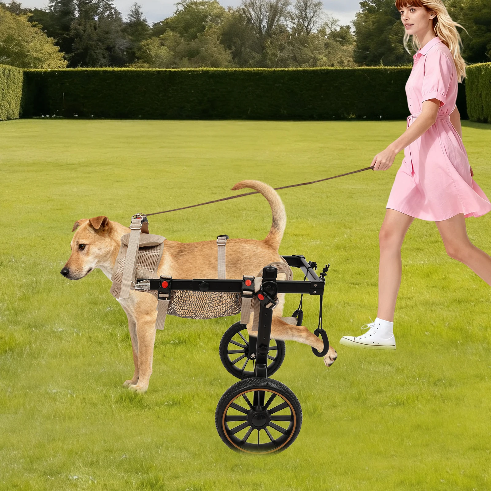 2-Rad-Hundewagen für mittelgroße/große Hunde – Gehhilfe und Rehabilitationsassistent XXL für ältere Hunde mit Hinterbeinproblemen – Detail 2