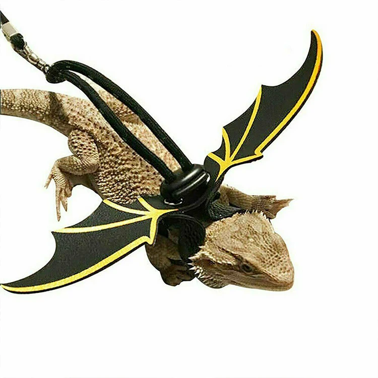 

Lizard Leash Reptile Harness for Outdoor Pet Chameleon Squirrel Supplies