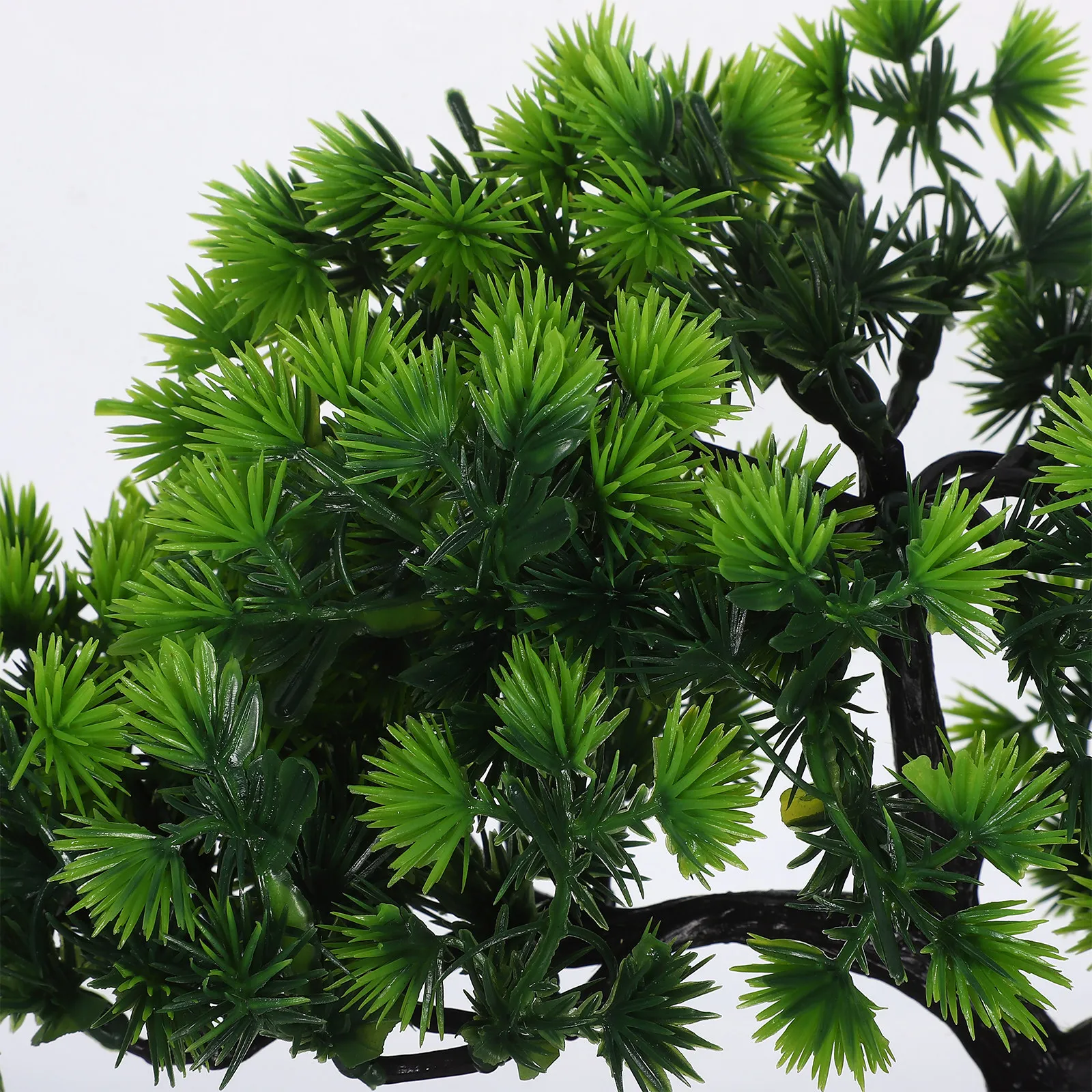Zen-tuin decoraties, bonsai, k - Bonsai Tree Zen Garden recensie en prijs