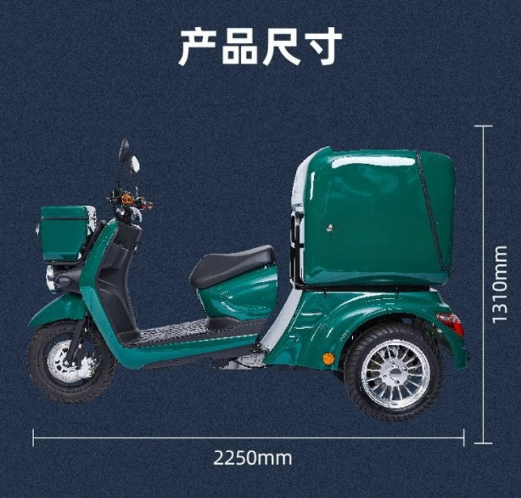 Leisure lithium battery adult electric tricycle, motorcycle export transportation skateboard tumbler