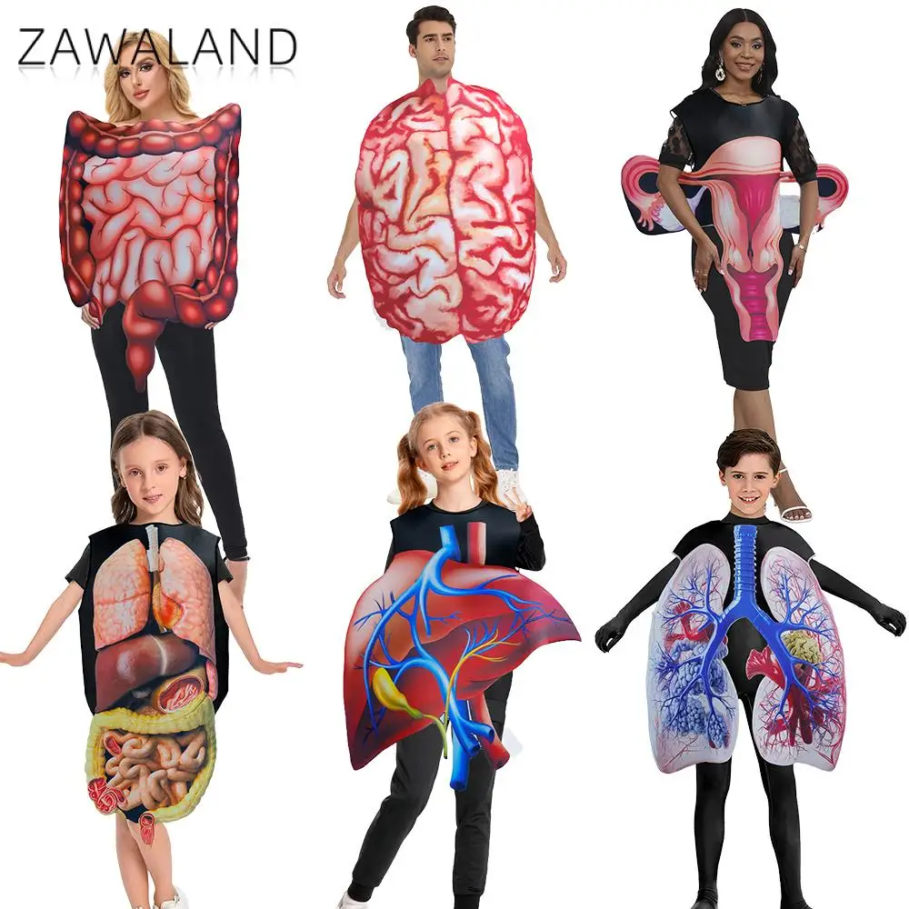 

Human Body Brain Liver Cosplay Costume Adult Kid Carnival Party Jumpsuit Sponge Suit Human Organ Uterus Clothes Halloween