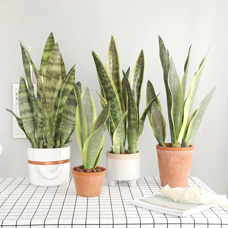 

3pcs/lot Artificial Plants Sansevieria Branch For Bonsai Decoration Fake Plastic Tiger Piran Leaves Plants Home Garden Decors