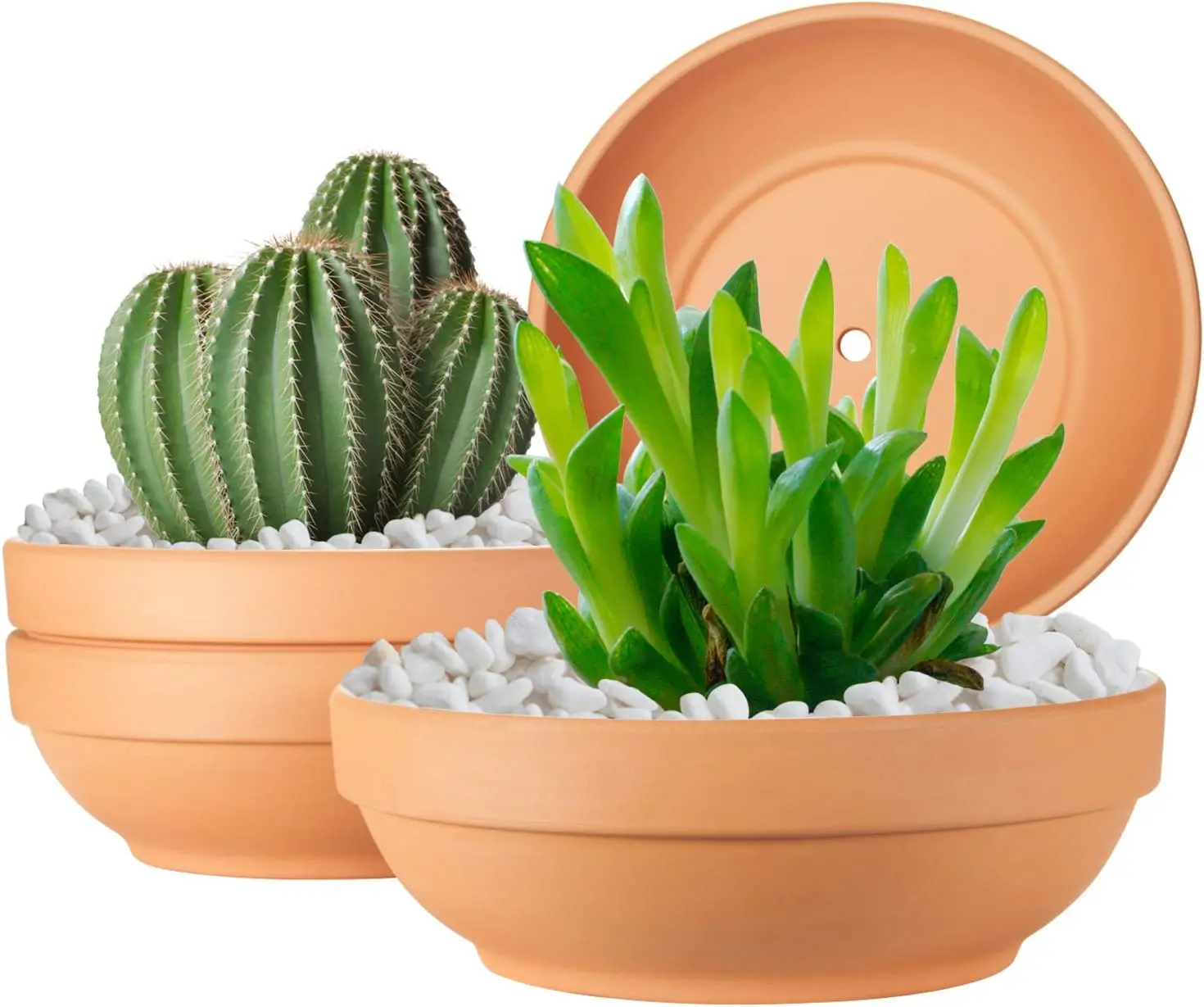 

Clay Pots for Plants with Drainage Hole, 4 Pack Large Terra Cotta Plant Pot, 7.67 Inch Terracotta Pot Ceramic Pottery Pl