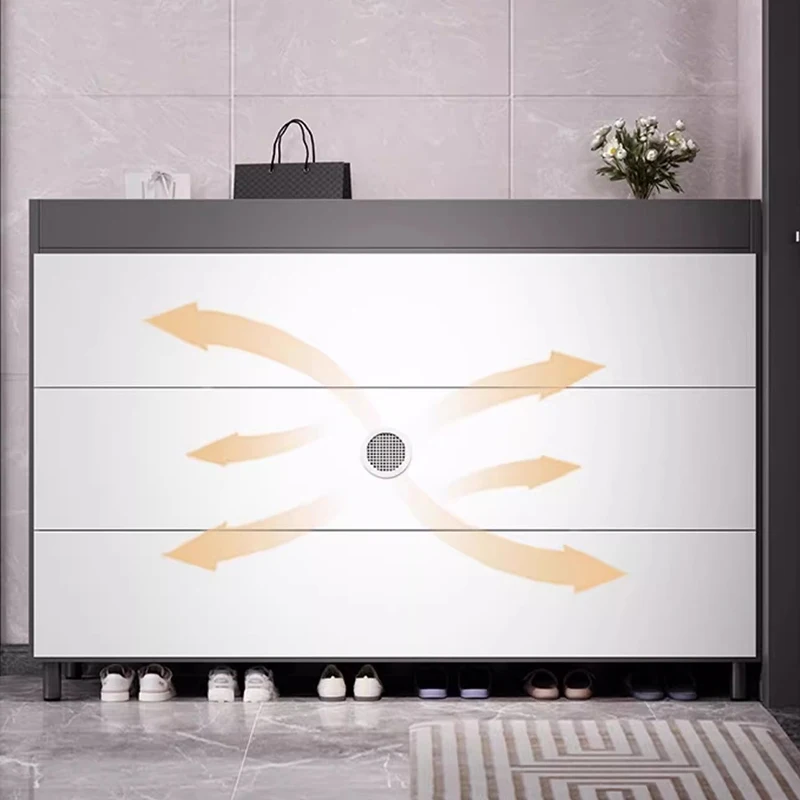 Moderne Designer Schoenenkast Entreehal Woonkamer Luxe Organisator Opslag Schoenenplank Opslag Muebles Schoenmakers Meubels