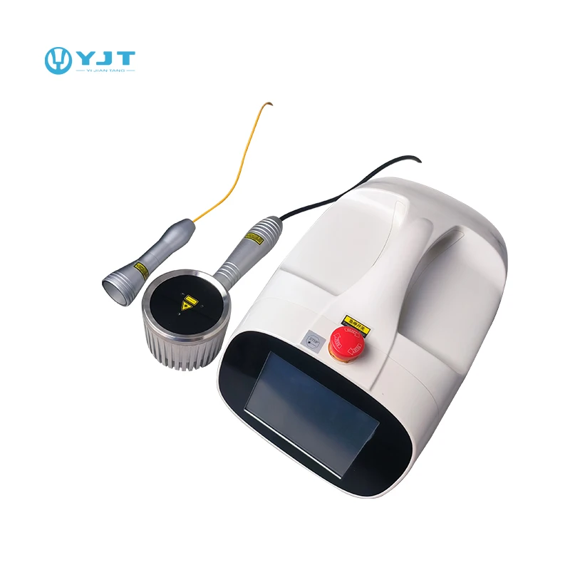Class IV Laser Therapy Machine For Human And Animal Applications CE ISO Certified Supplier