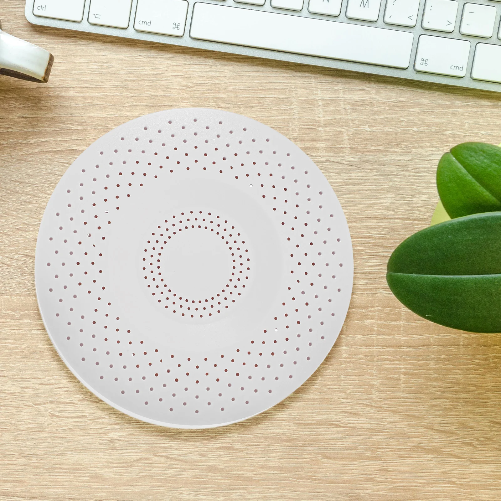 Disguise Hidden Storage Containers Compartment Organizer Accessories Hiding Places Plastic Money