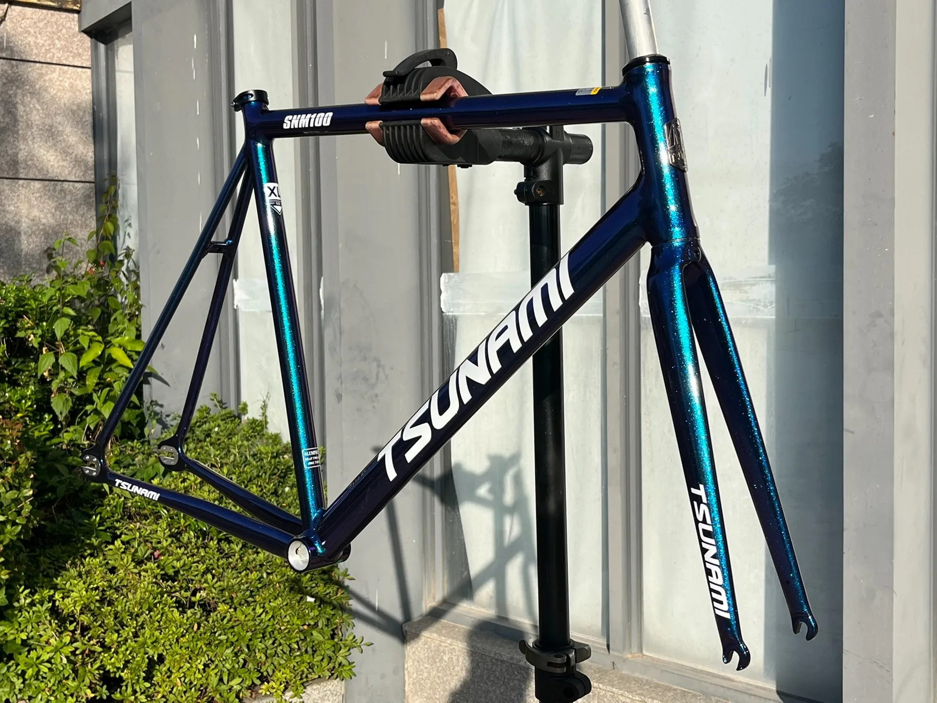 TSUNAMI SNM100 Chameleon 55CM　フレーム S73958b8393be4a28995c222283a89