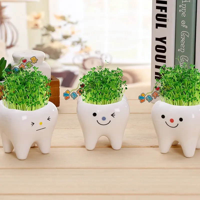 2024 New Ceramic Flowerpot Mini Tooth Shaped Cute Potted Plant Desktop Potted Creative Plant Pot Desk Decorate Small Ornament