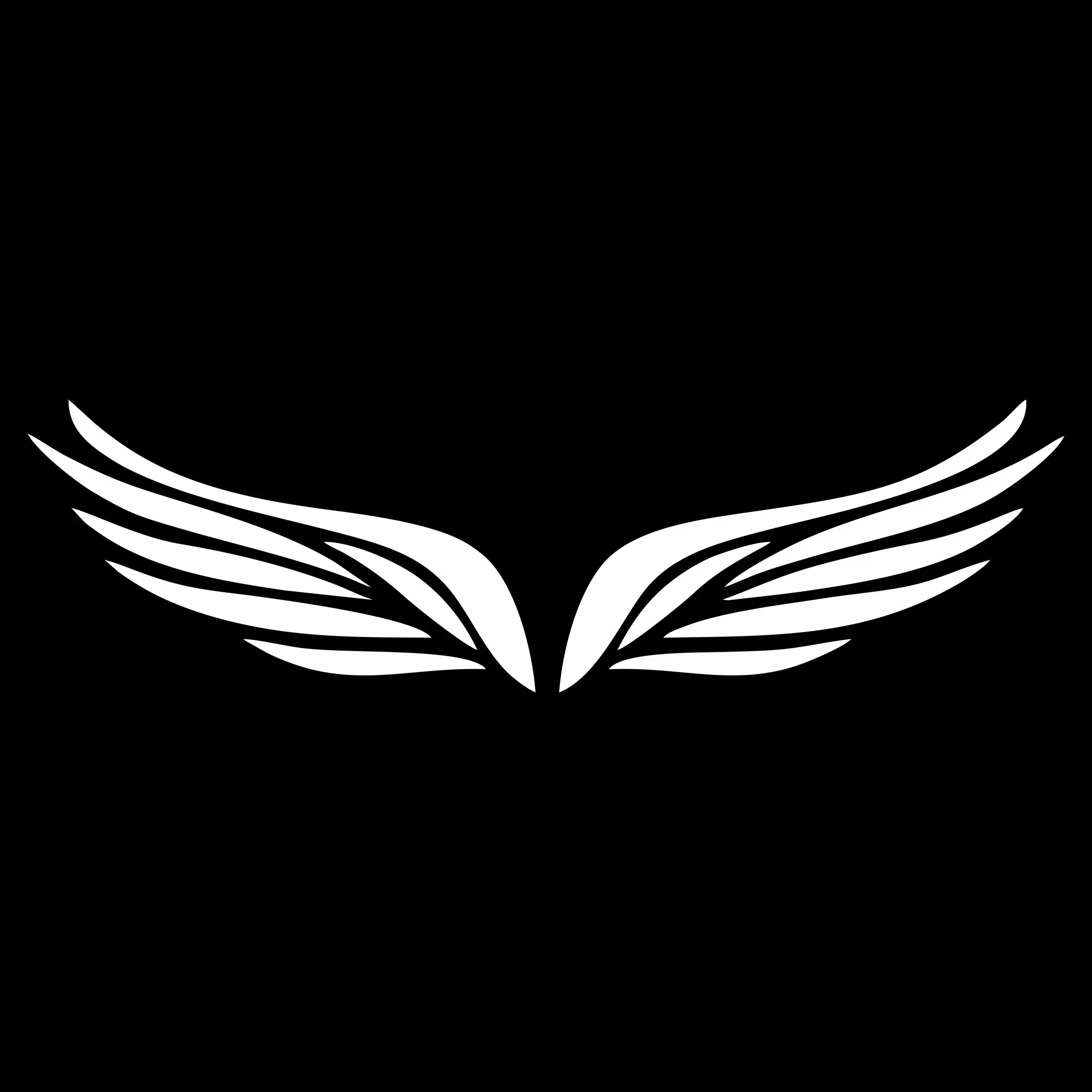 New Design Bird Feathers Angel Wings Decorative Accessories Car Decal Decorative Motorcycle Decal, 10cm