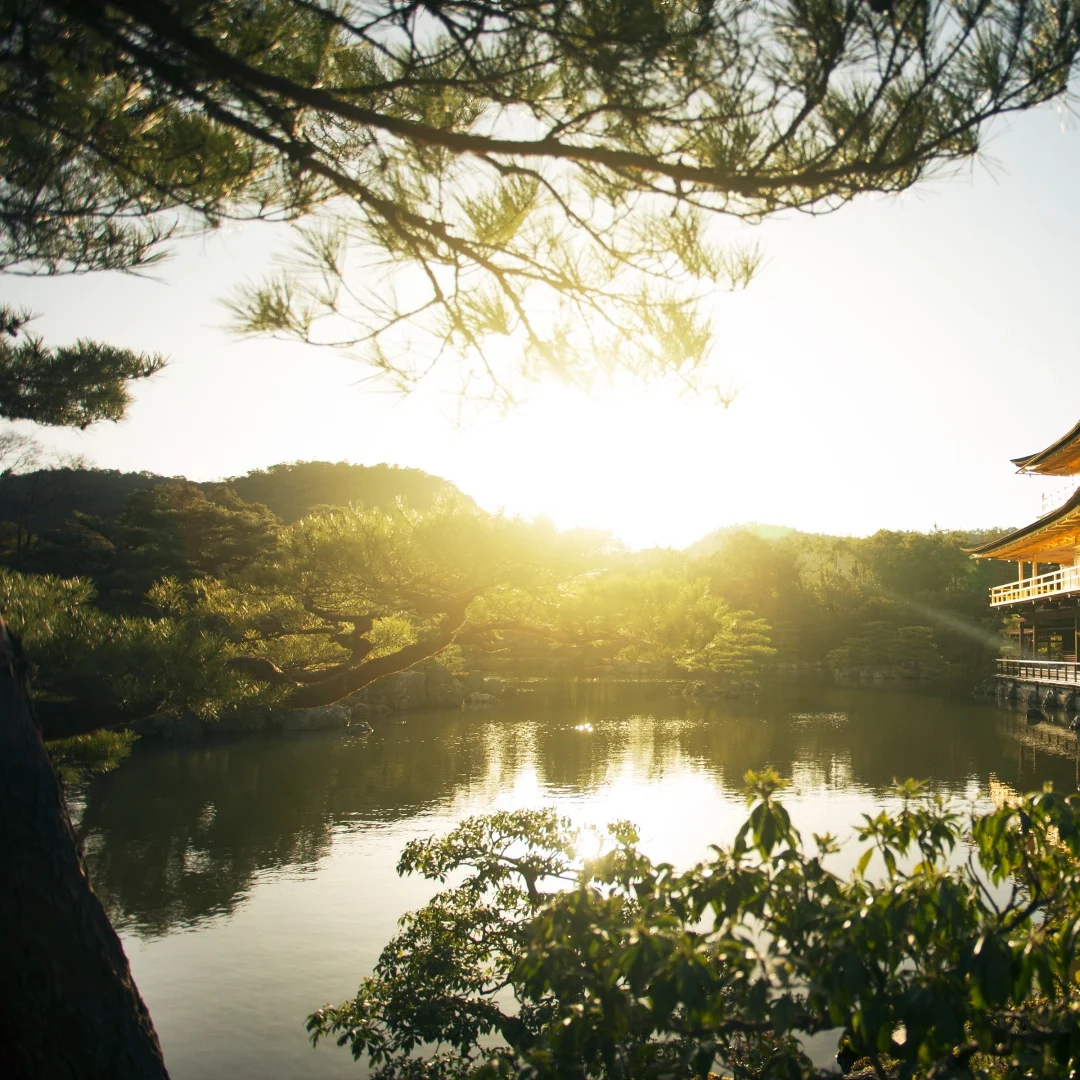 

12.3inch Qualcomm 665 Android 14 Screen For Lexus ES ES300 ES250 ES350 ES300h 2012-2018 Navigation Car Multimedia Player Carplay