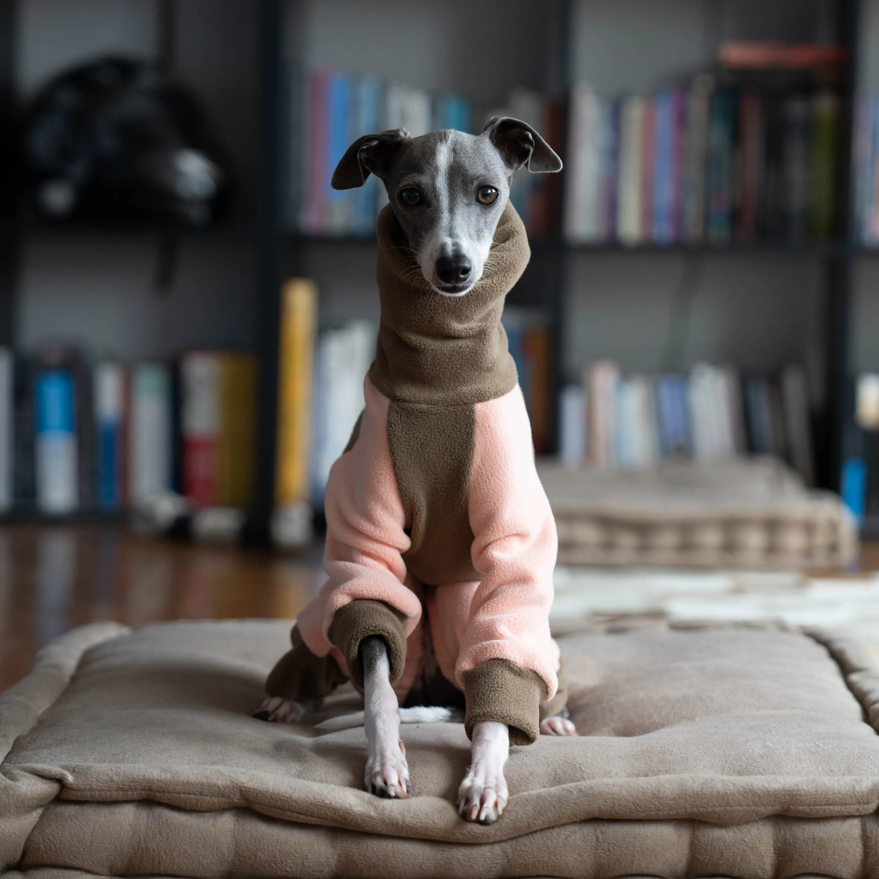 Iggy-Turtleneck for Dogs, Soft Elastic Stitching Clothes, Four-legged Clothes, Greyhound, Hairless, Orange