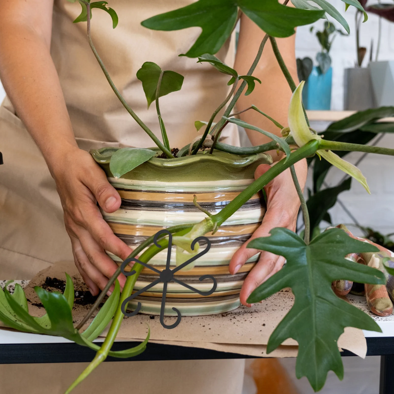 

12Pcs Plant Support Clips Durable Adjustable Stem Holders for Climbing Houseplants Indoor Outdoor Garden Growing