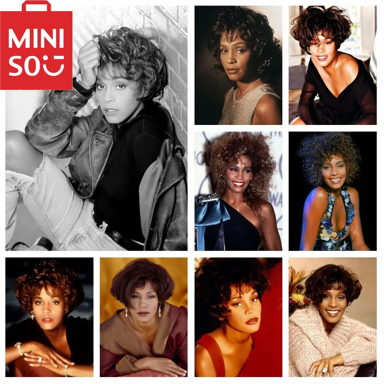 MINISO DIY النفط الطلاء حسب عدد ويتني هيوستن ديكور المنزل جدار غرفة نوم غرفة المعيشة ديكور أفضل إطارات هدية مضحكة #1