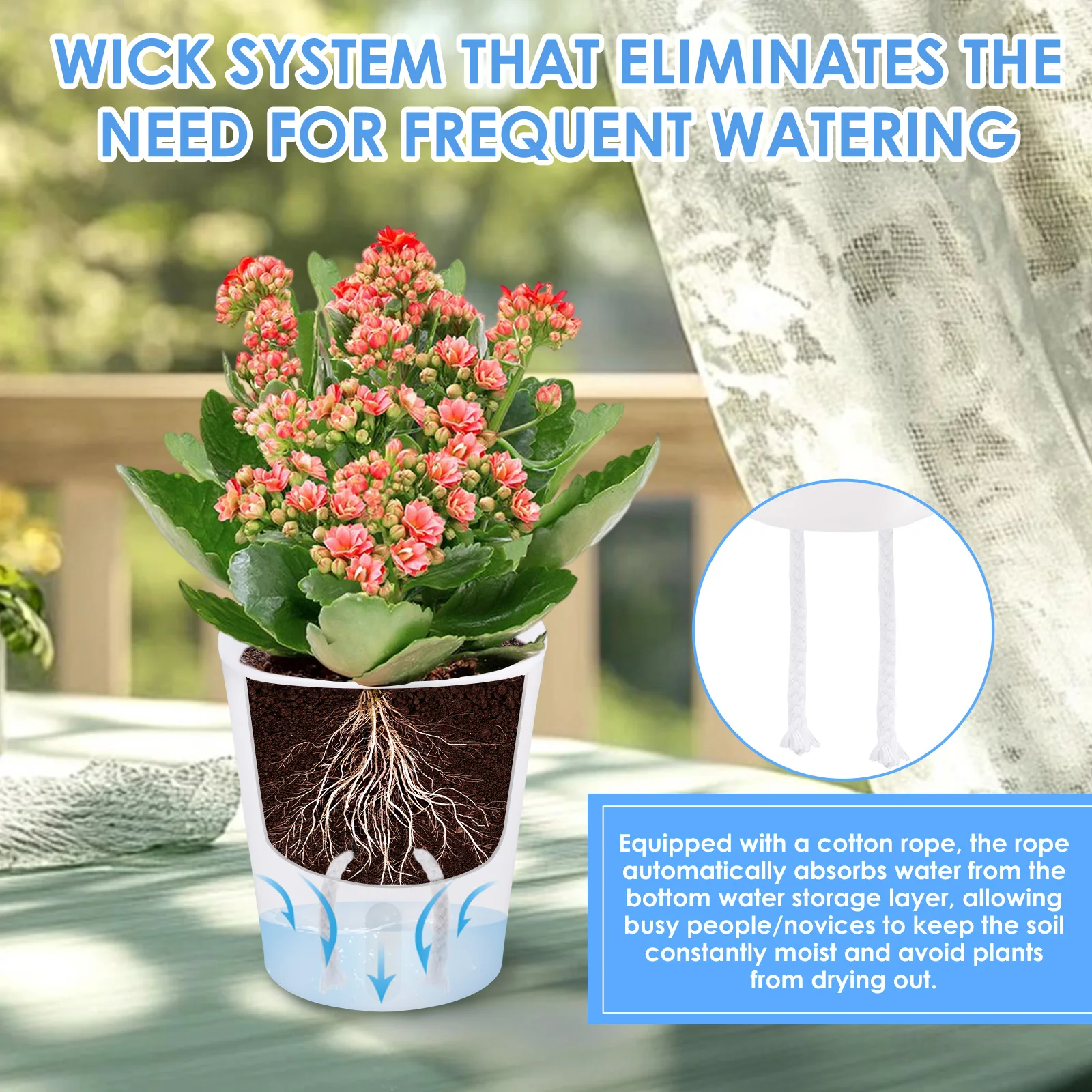 กระถางต้นไม้พลาสติกแบบรดน้ำเอง - Aloe Vera Pot บทวิจารณ์และราคา