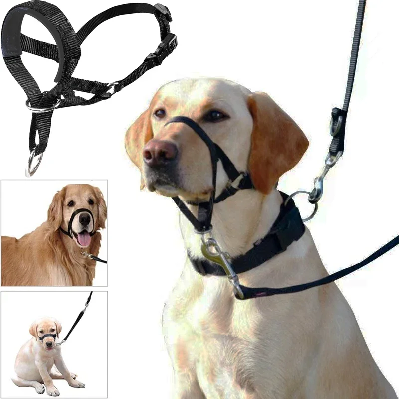 

Nylon Dog Muzzle Adjustable Anti-barking Anti-bite Harness Head Collar Muzzle Dog Halter Training Leash Leader Classic Collar