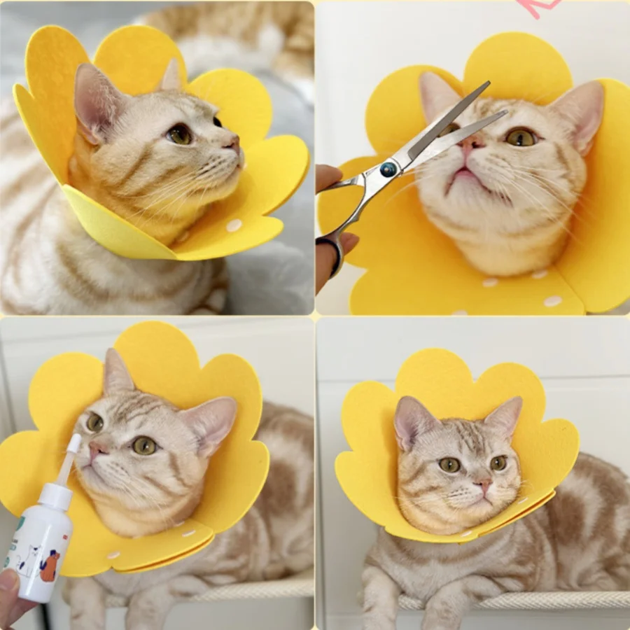 1 طوق إليزابيث سيركل للحيوانات الأليفة خفيف الوزن، غطاء رأس لباد ما بعد الجراحة، طوق قابل للتعديل مضاد للحرق