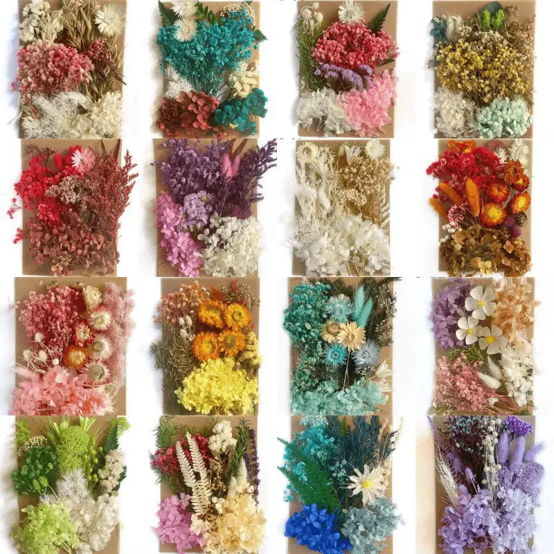 Home Decoration Natural Dried Pressed Flowers For Handmade Crafts  wers Leaves Bulk For DIY Candles Epoxy Resin