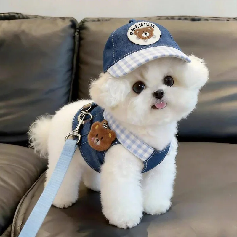 Cute Cartoon Dog Harness Vest With Adjustable Traction Rope Pet Walking Clothes For Teddy Bichon Pomeranian Small Dogs Outdoor