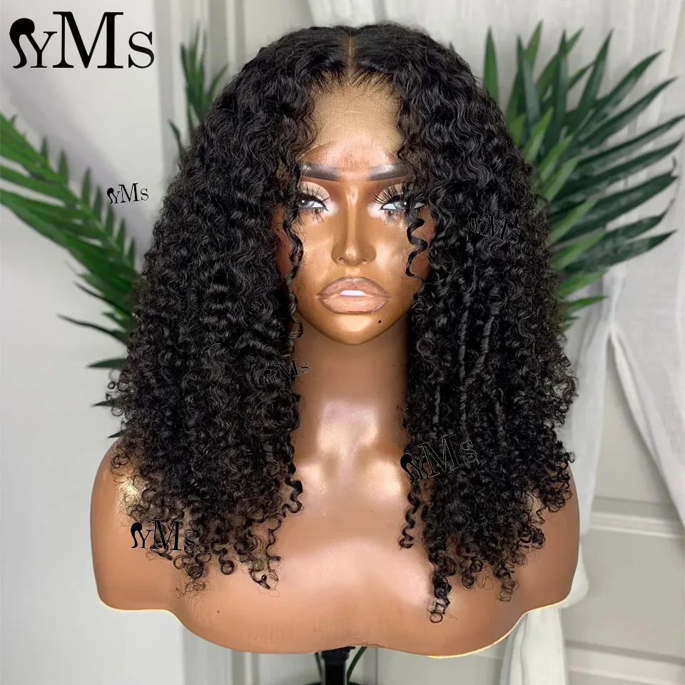 3C4A Premium Virgin Burmese Curly Lace Frontal Wig 13X4 13X6 YMS Raw Curly Lace Front Closure Human Hair Wigs For Women 250%