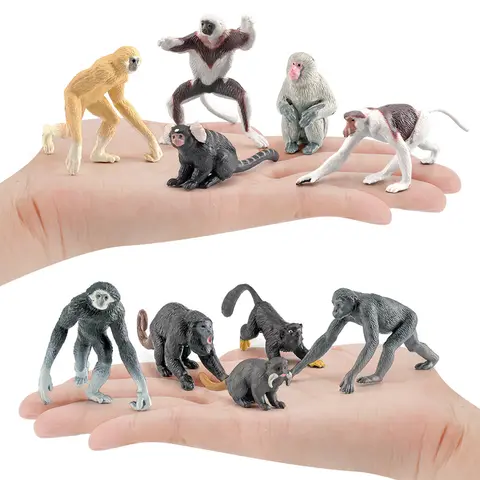 10pcs Realistic Primates Animals Bonobo,Gibbon,Marmoset,Monkeys Multicoloured Model Figurines Educational Teaching Toys