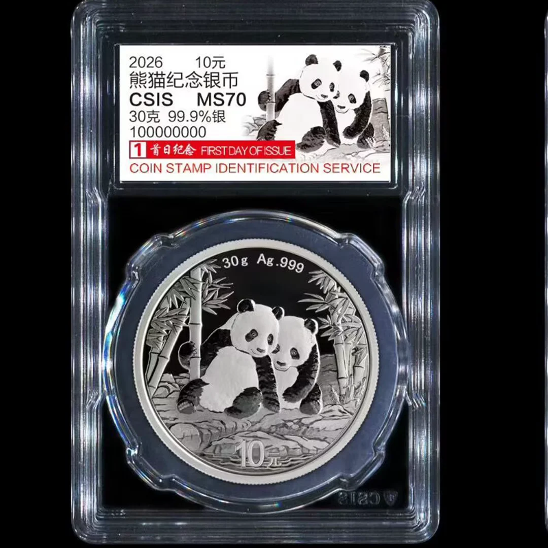 2022-2026 China Pan… - image