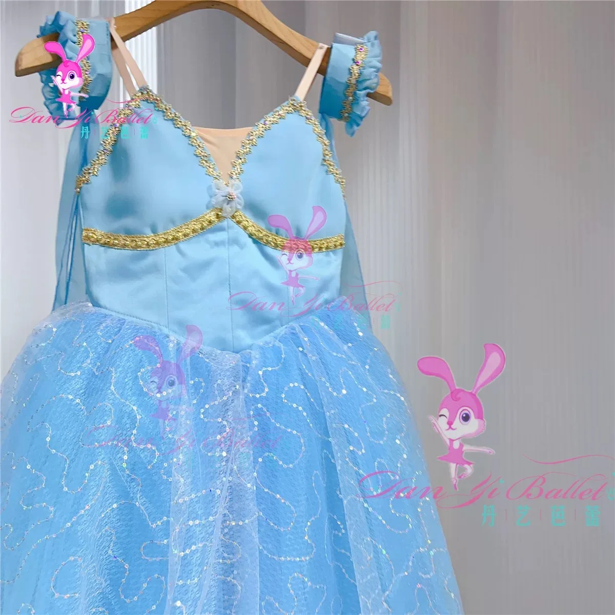 Simple children, adult women, ballet, sleeping beauty, blue gauze dress, professional customized performance clothes, competitio