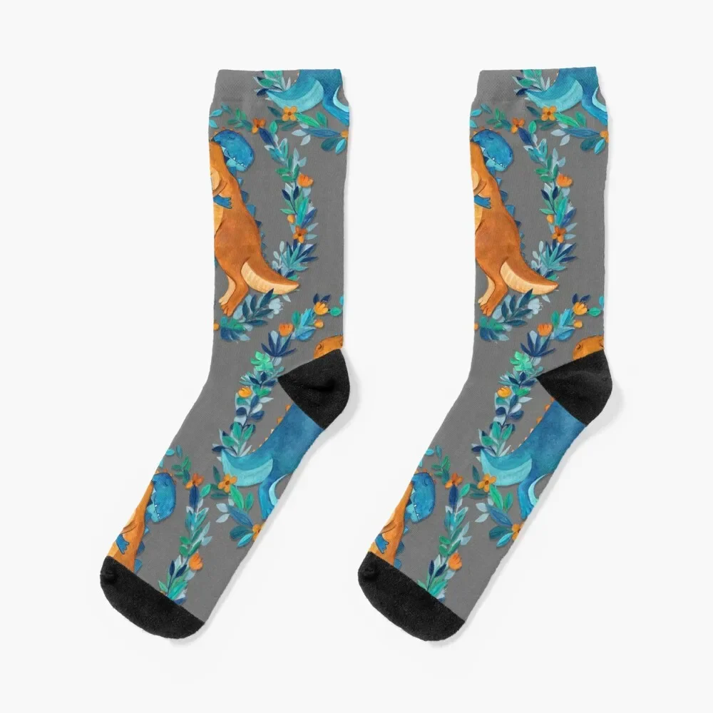 

Dino Hugs Socks gifts luxury FASHION snow Socks Women's Men's