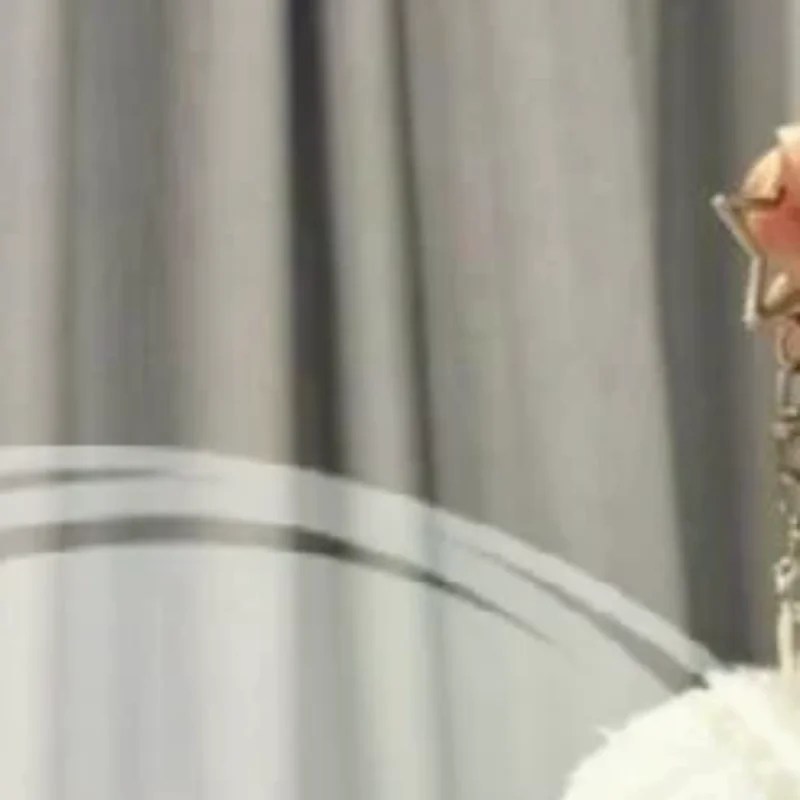 Bambola simulata del pupazzo di neve a tema con sigillo dell'oceano; Simpatico arredamento per zaino con portachiavi con sigillo di cartone animato