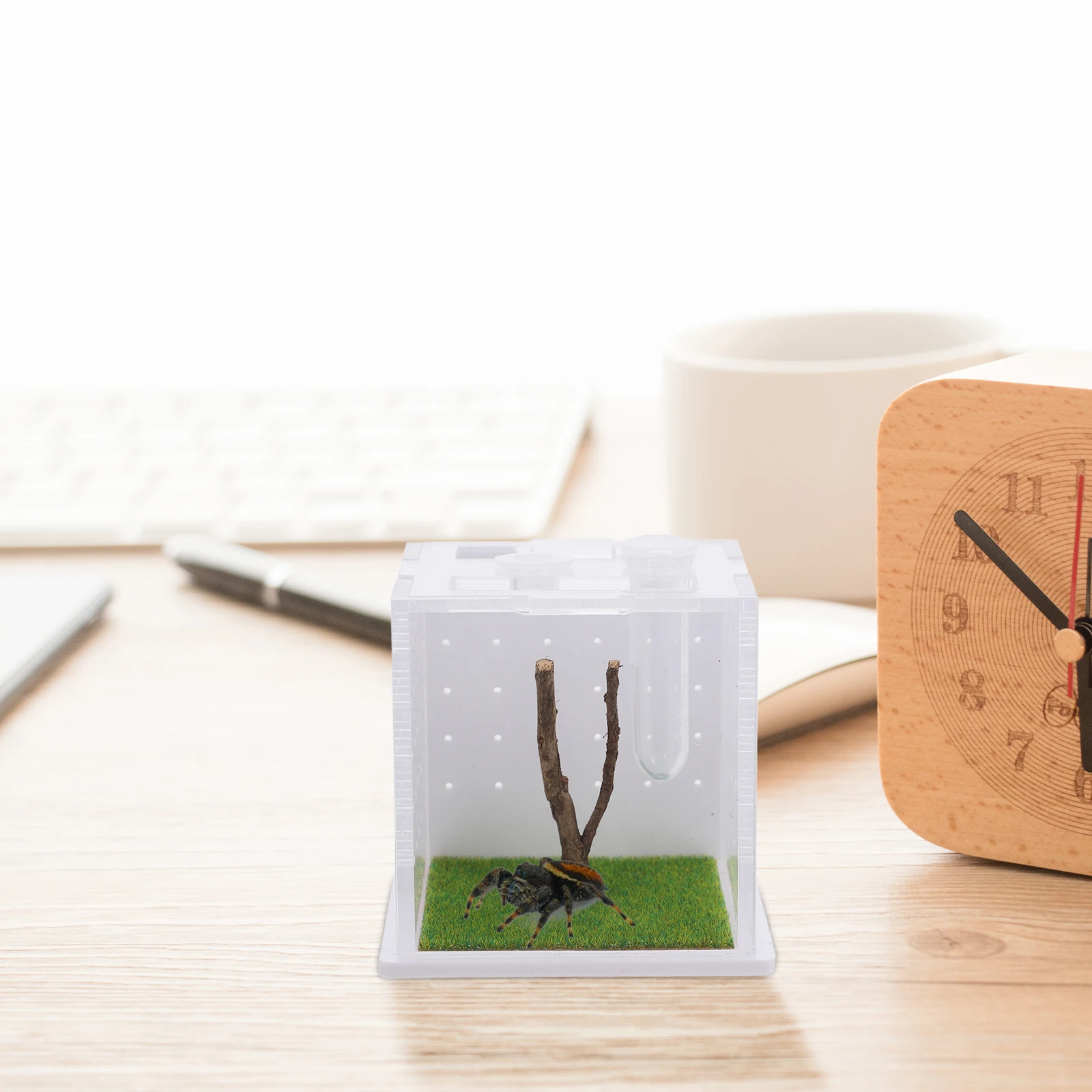 

Jumping Spider Terrarium Breeding Box Portable Cage Pet Supplies Reptile Container Feeding Case InsectBox Small Bugs