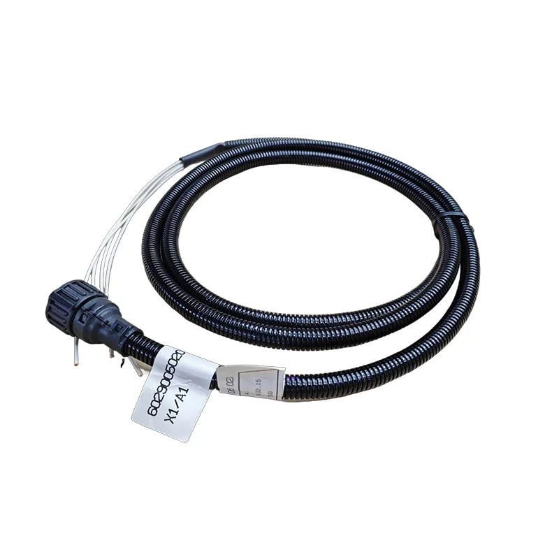 

Truck Parts Wiring Harness 6029005020