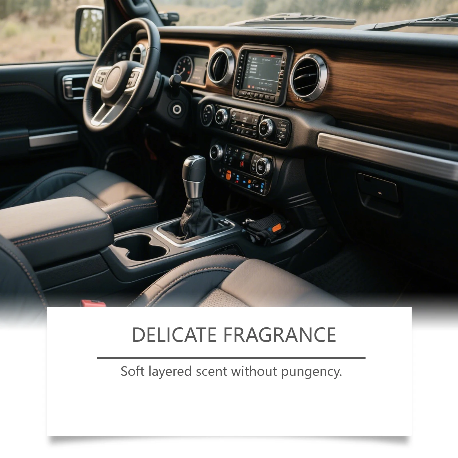 El spray perfumado para el int - Odor Eliminator Car reseña y precio