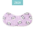 ZB20