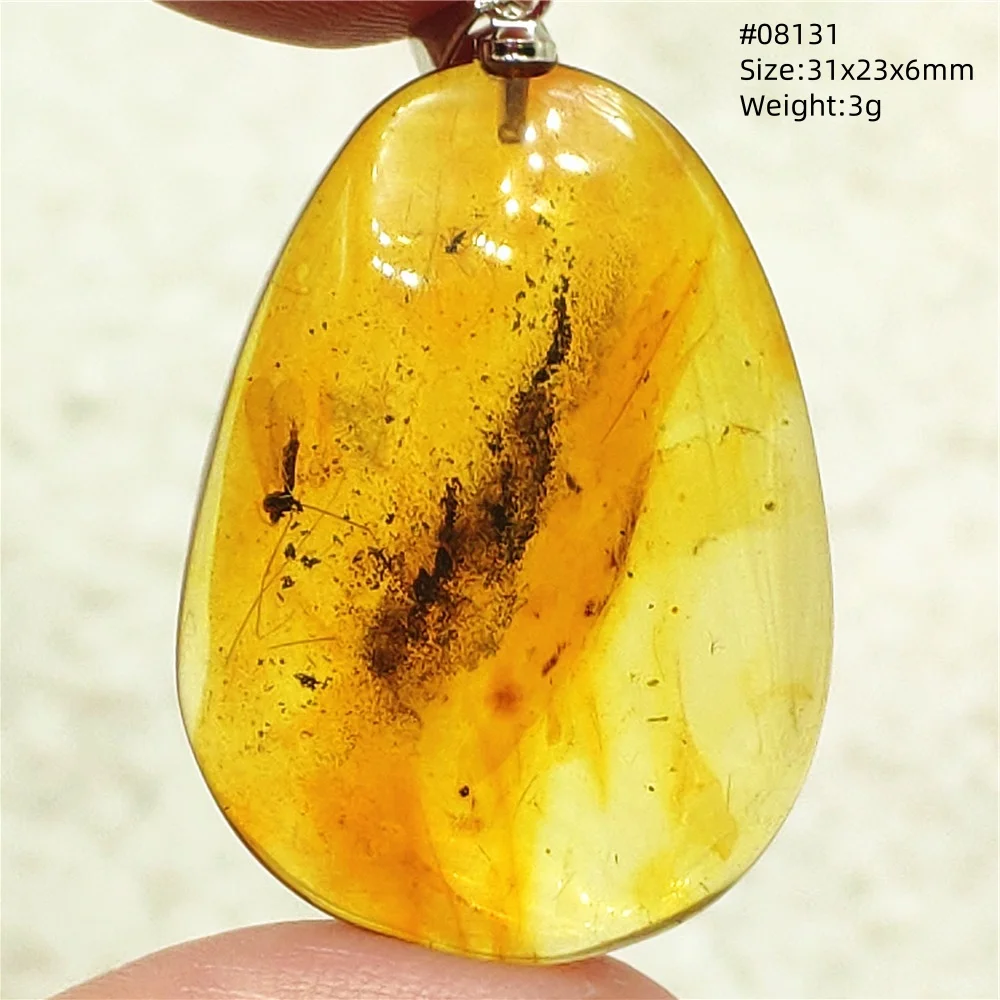 

Natural Yellow Amber Insect Pendant Water Drop Women Men Gemstone Amber Insect Stone Baltic Necklace Jewelry AAAAA