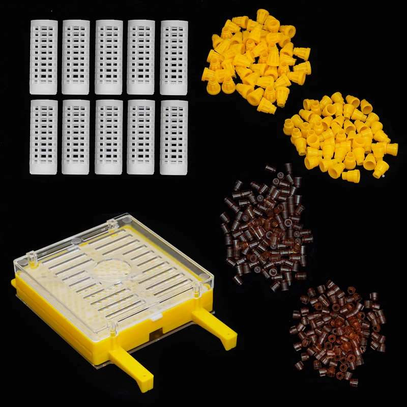 

Queen Bee Rearing Kit Nicot Germany Jenter Bee Queen Rearing System Queen Bee Cell Cups Larva Move Cage For Beekeeper Supplies