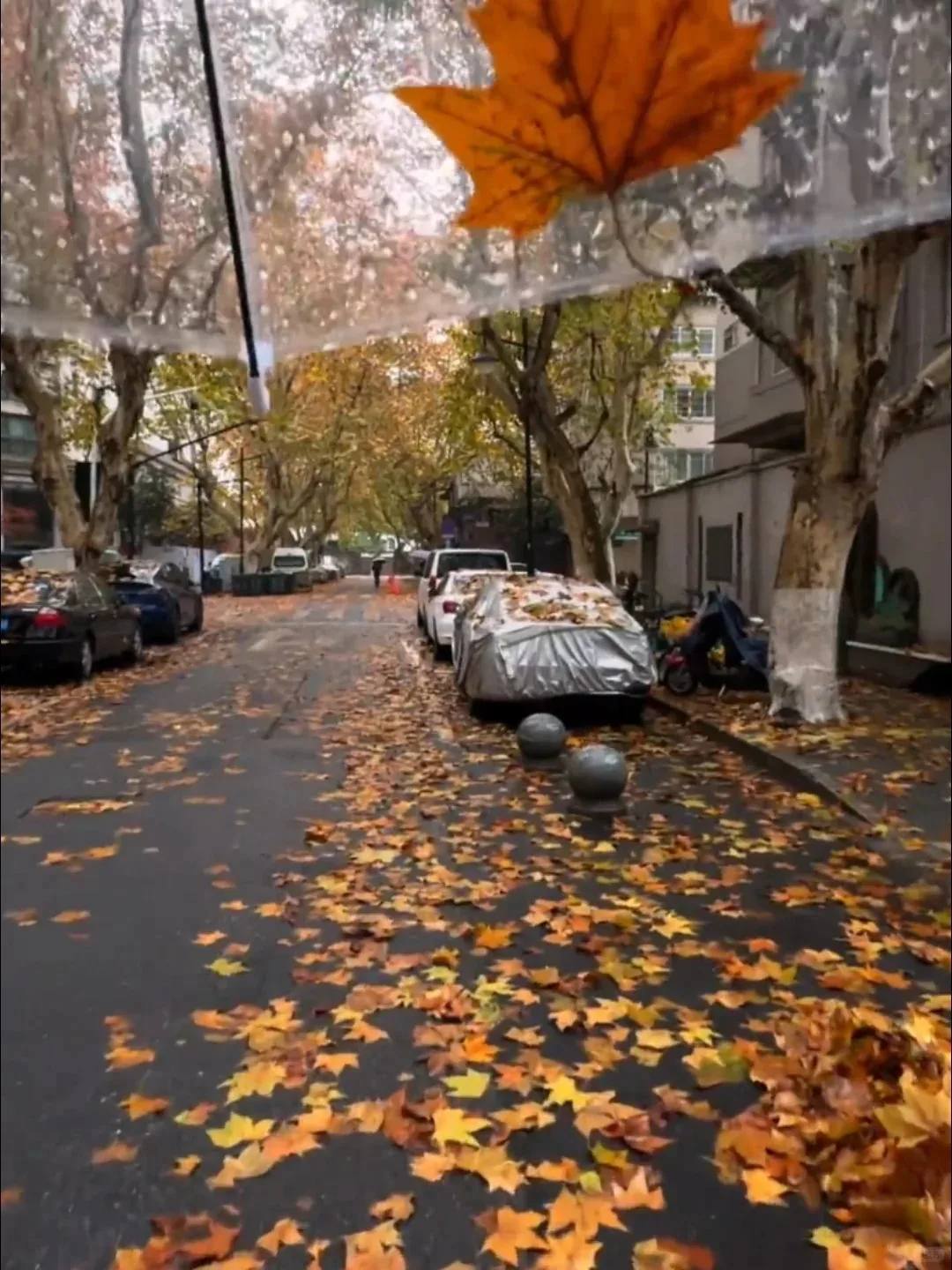 

Android 14 For Maserati GT/GC Gran Turismo Carbon Fiber Car Aircon Board Black Screen Multimedia Player GPS Navigation Head Unit